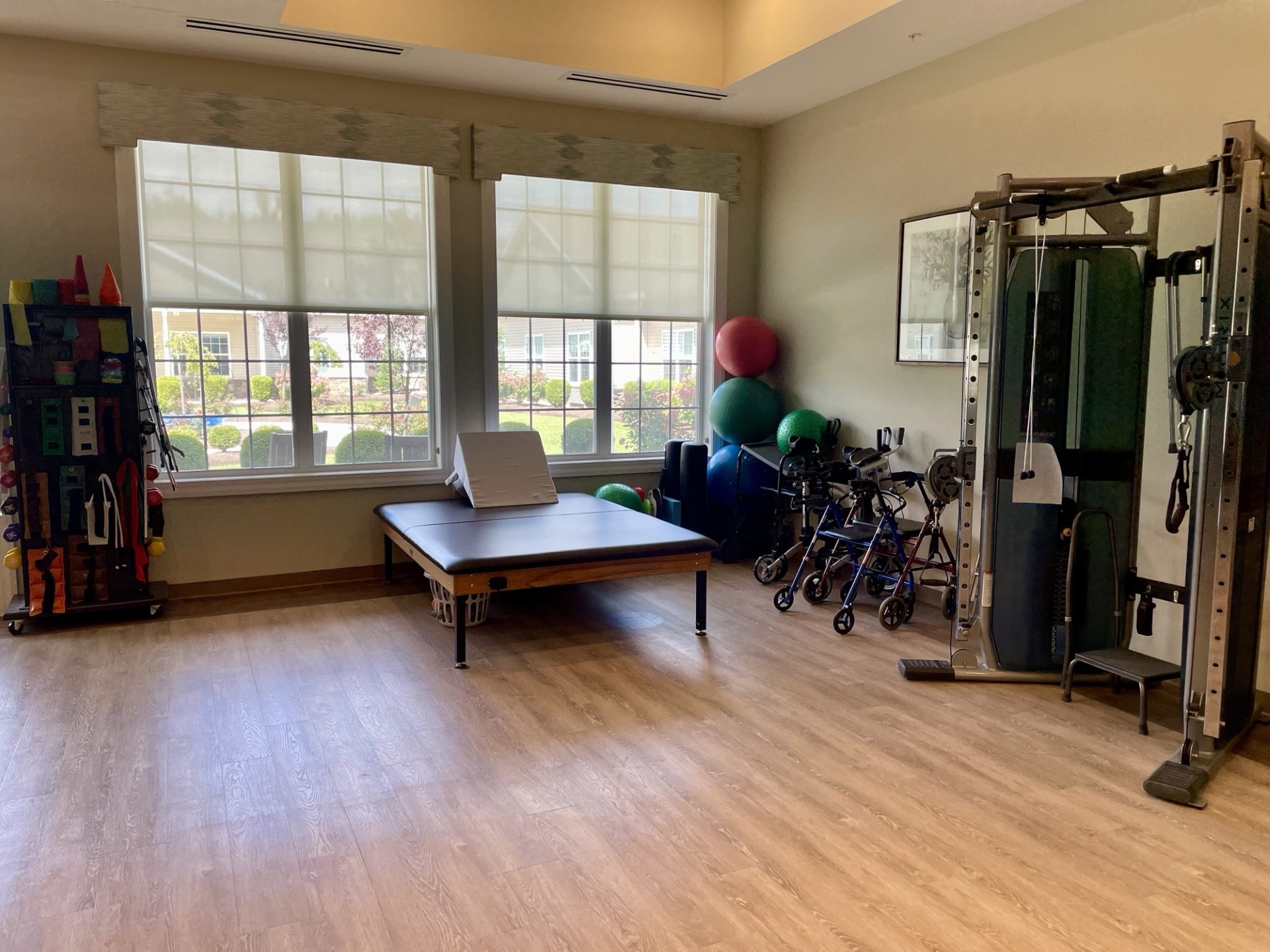 Physical Therapy image